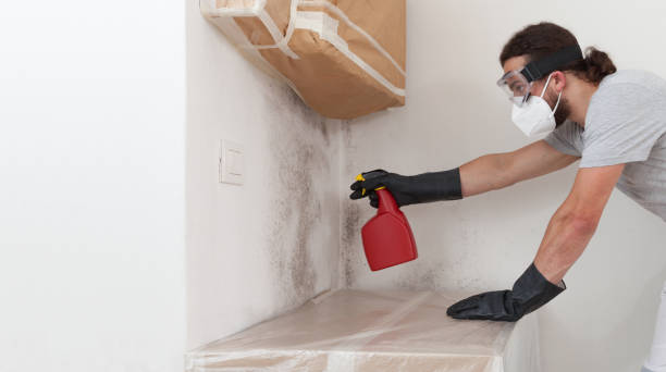 Professional Mold Remediation technician working in New York Mills, NY